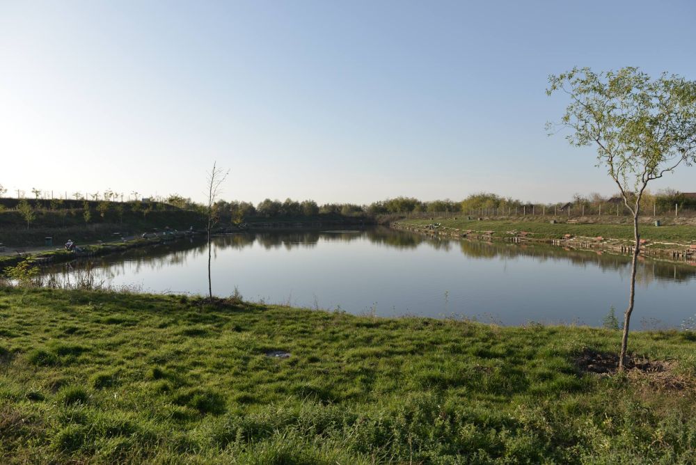 poaza cu Balta Pescaria Waldy