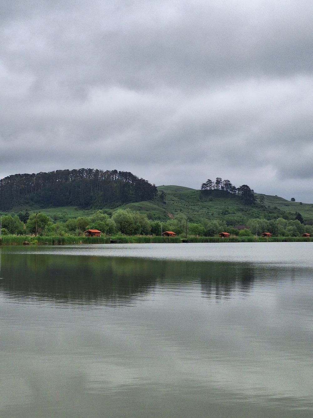 poaza cu Balta Bradeni