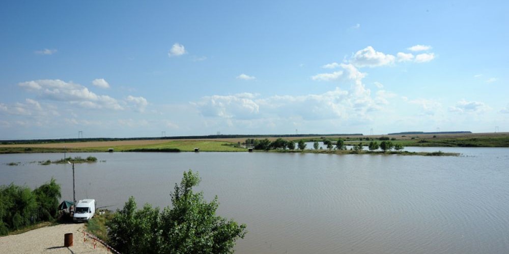 poaza cu Balta Fitofagu Barlogu