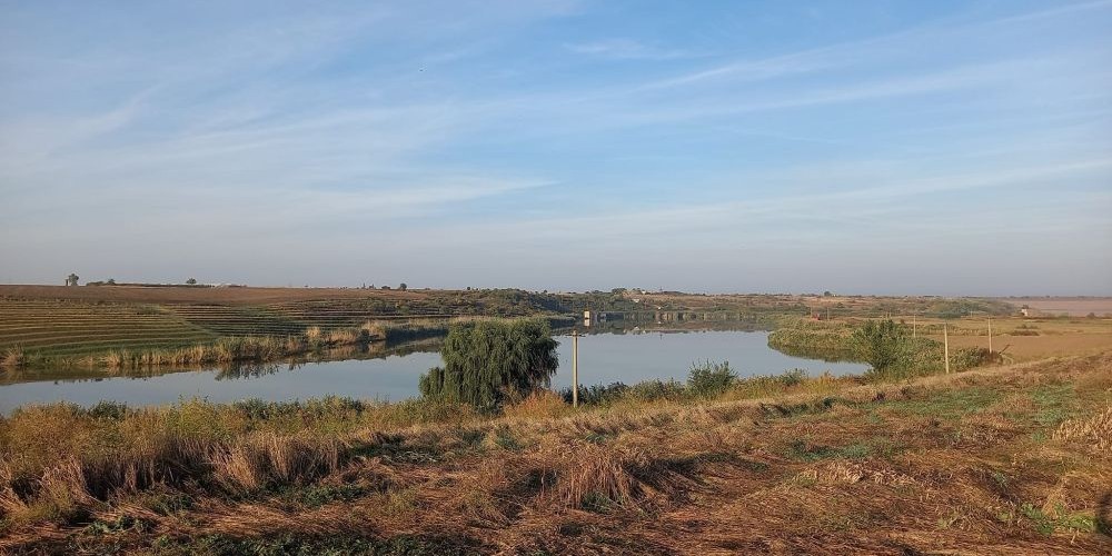 poaza cu Balta Darvari