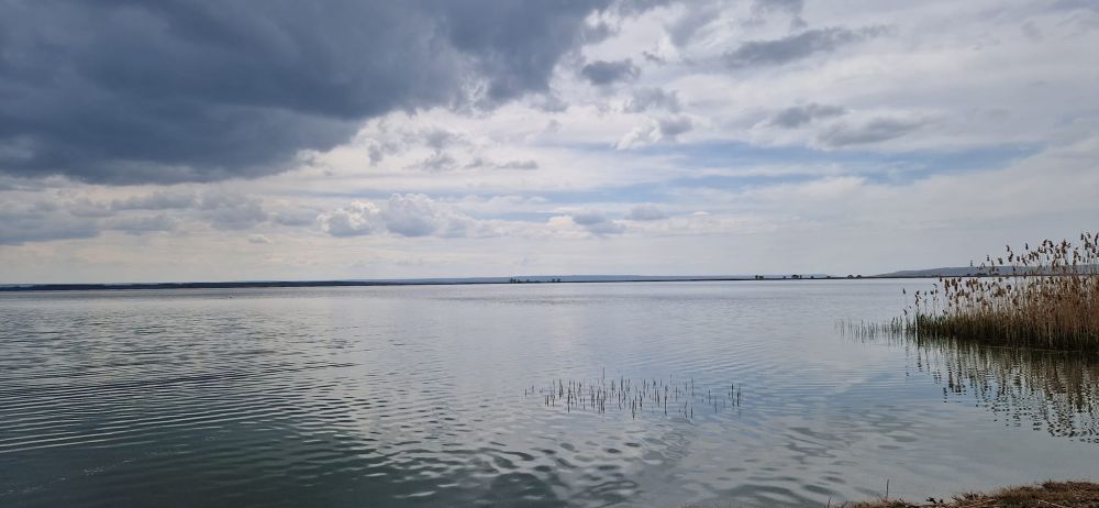 poaza cu Balta Suhaia