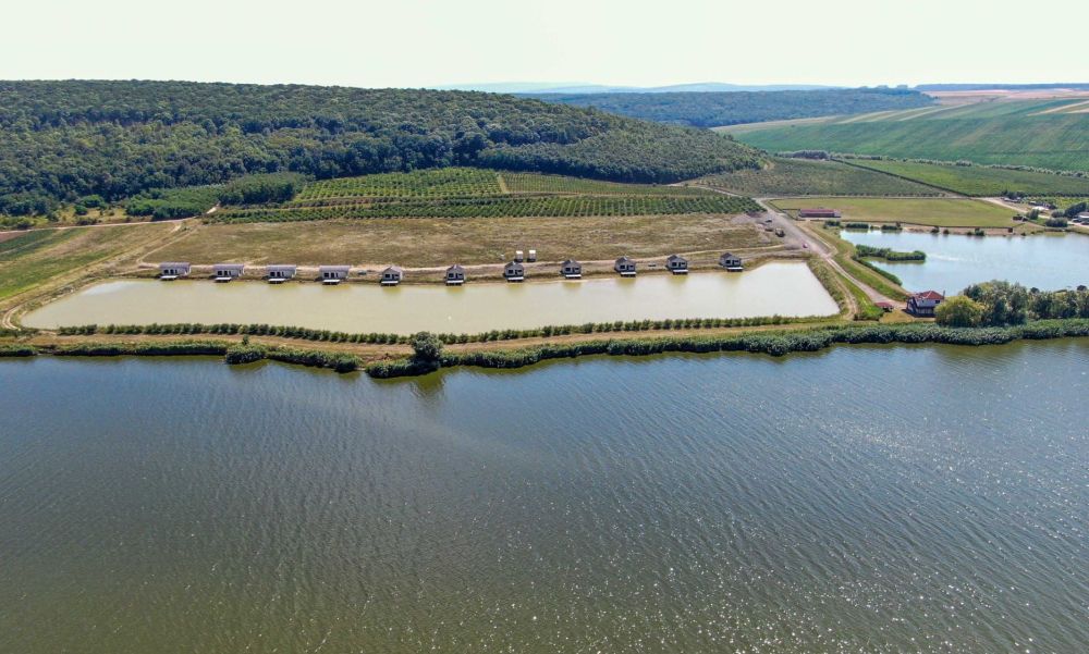 poaza cu Balta Poienita Agrotur