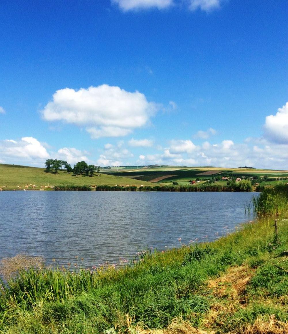 poaza cu Balta Rosieni