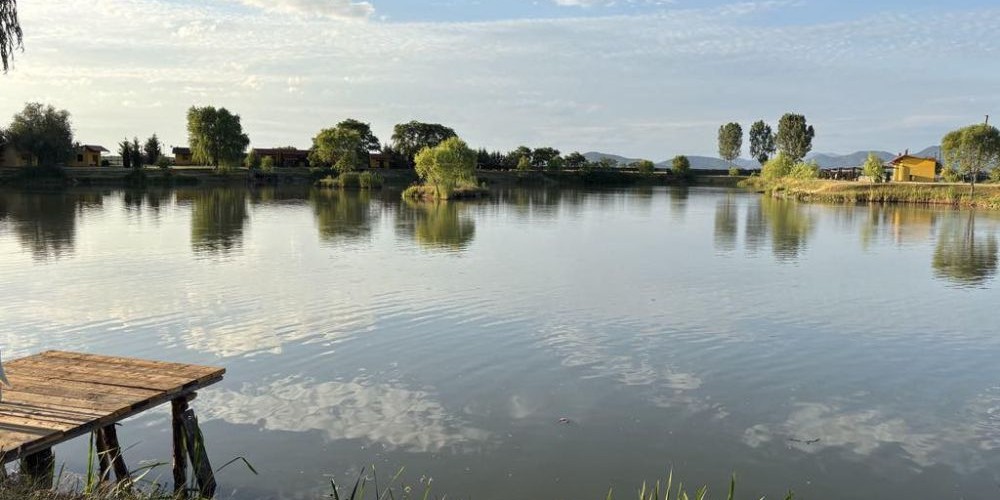 poaza cu Balta Turulung