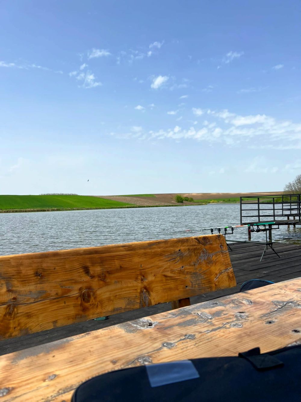 poaza cu Balta Magura 10-11